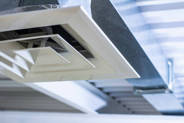 Best Home Air Vent Cleaning  in Shackle Island, TN