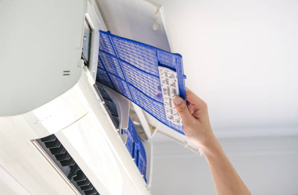 Best Local Air Duct Cleaning Services  in Shackle Island, TN