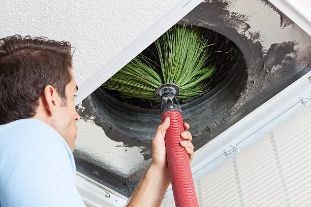 Best Air Duct Cleaning Near Me  in Shackle Island, TN