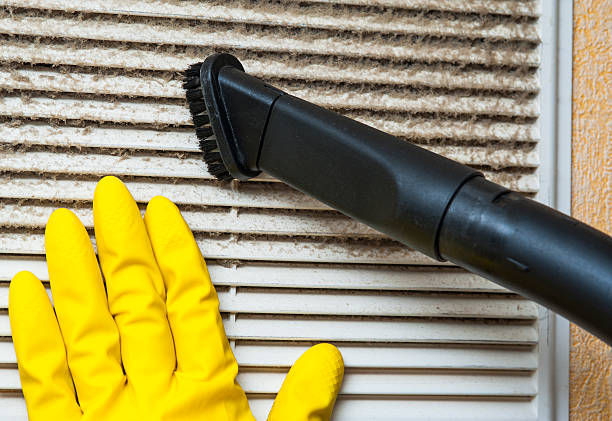 Best Air Duct Cleaning Near Me  in Shackle Island, TN