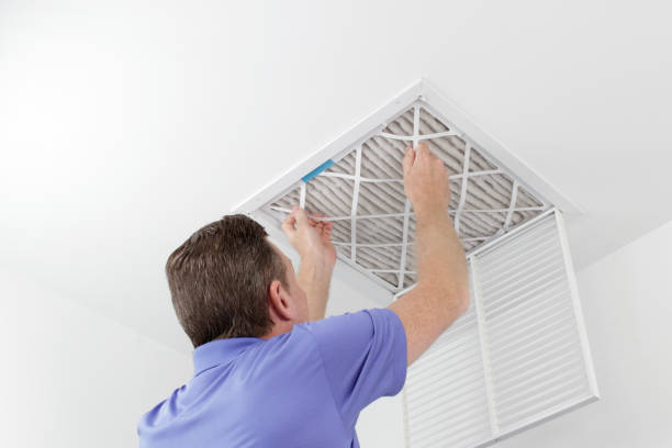Best Emergency Air Duct Cleaning  in Shackle Island, TN